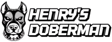 Henry's Doberman