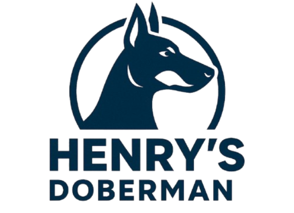 Henry's Doberman